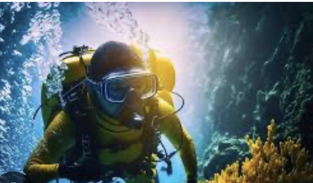 Bajo el Mar…La Lucha por Restaurar los Bancos de Coral en Punta Cana