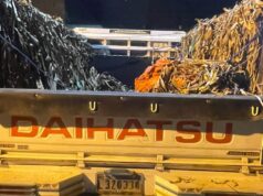 38 Haitianos Escondidos en un Camión