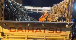 38 Haitianos Escondidos en un Camión