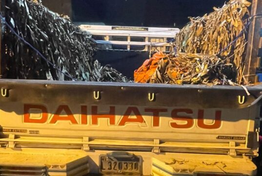 38 Haitianos Escondidos en un Camión