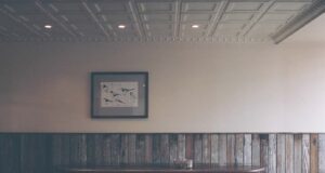 Best Budget Destinations for Fall