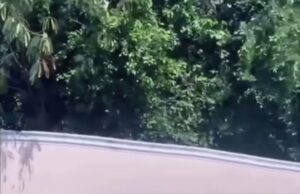 RIU HOTELS ALEGA SOLO PERMITIRÁ BUSES AUTORIZADO POR ADOTRATUR. CHÓFERES PROTESTAN.