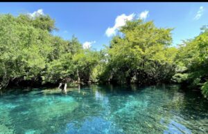 RÍOS Y LAGUNAS HERMOSAS EN PUNTA CANA