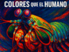 EL CAMARÓN QUE VE COLORES QUE EL HUMANO JAMÁS IMAGINARÁ