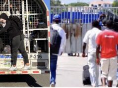 Migración reporta cerca de 700 extranjeros en situación irregular en fincas