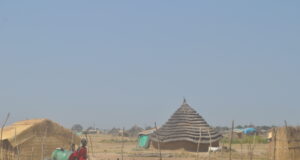 Calle de Abyei con viviendas y una carreta tirada por un burro, en una fotografía de archivo de noviembre de 2009.