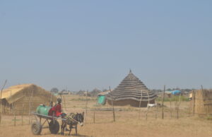Calle de Abyei con viviendas y una carreta tirada por un burro, en una fotografía de archivo de noviembre de 2009.
