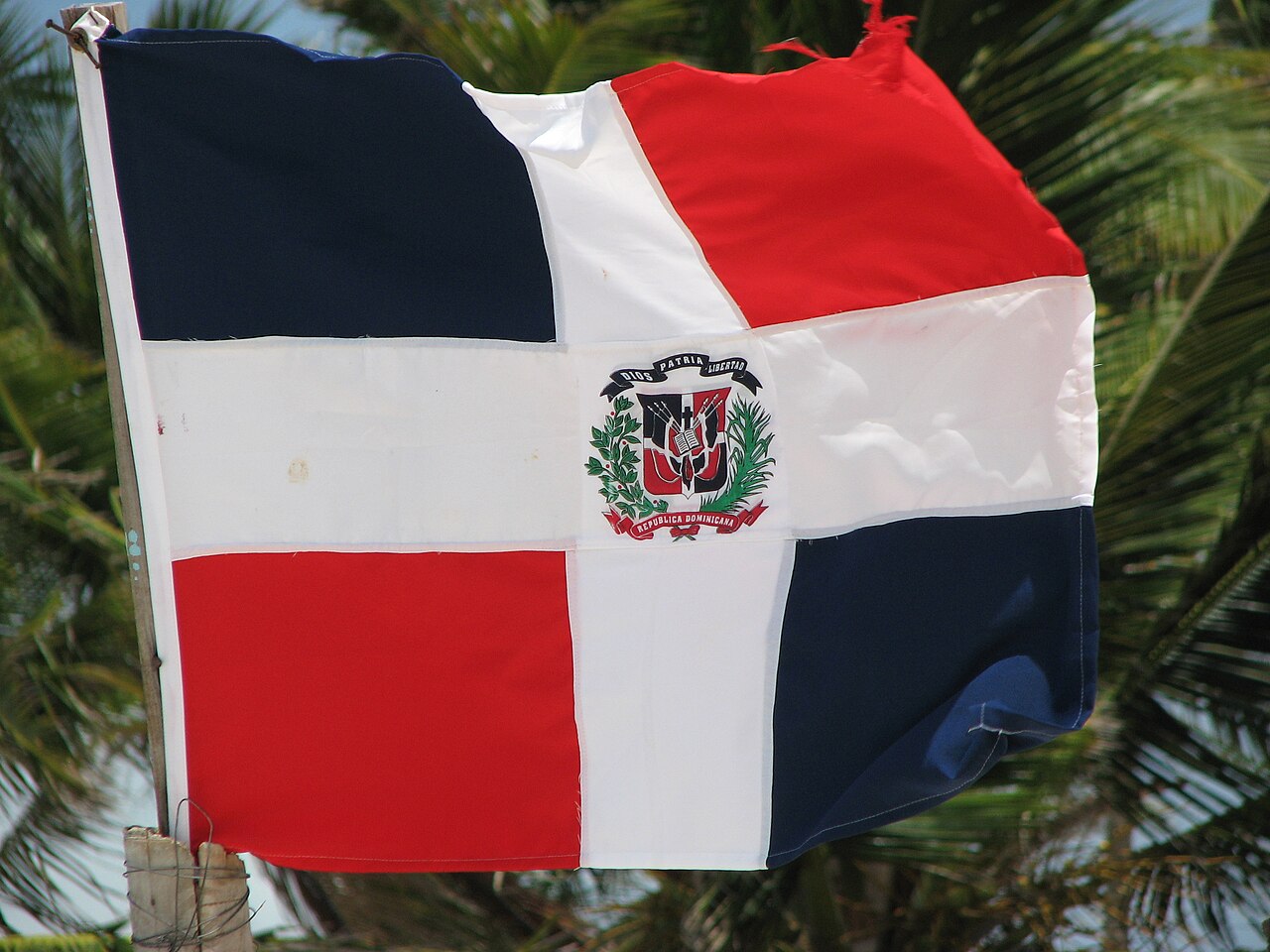 Bandera de la República Dominicana ondeando entre palmeras