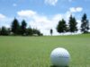 Bola de golf sobre el césped del green; fotografía de archivo de 2012