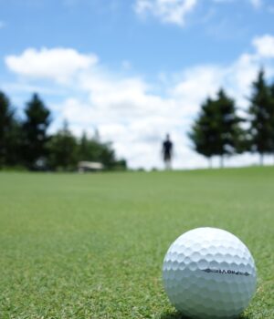 Bola de golf sobre el césped del green; fotografía de archivo de 2012