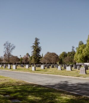 Cementerio con sepulturas y áreas verdes, imagen ilustrativa