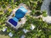 Vista aérea ilustrativa de un complejo turístico con piscina y palmeras en Punta Cana