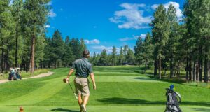 Golfista en el tee de salida de un campo arbolado; fotografía de archivo de 2016.