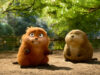 Hoppers: el bosque, la comedia y una taquilla de US$389,7 millones Mabel, en su cuerpo de castor robótico, junto a Loaf en un bosque de Hoppers; imagen promocional de Disney/Pixar.