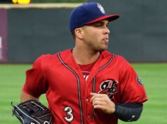 José Marmolejos con los Harrisburg Senators en 2017; fotografía de archivo de Jeffrey Hyde.