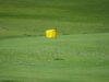 Bandera amarilla y pelotas sobre el green de un campo de golf