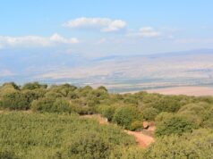 Vista del valle de Hula desde el mirador de Yiftach, en el norte de Israel