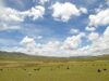 Paisaje de Nagqu, Tíbet, fotografiado en 2007; imagen de archivo de Luo Shaoyang.