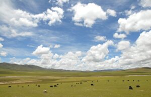 Paisaje de Nagqu, Tíbet, fotografiado en 2007; imagen de archivo de Luo Shaoyang.