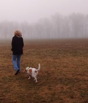 Perro durante paseo — imagen de referencia Perro caminando junto a una persona, imagen de referencia que no corresponde a Las Gaviotas ni a los animales mencionados