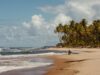 Playa tropical con palmeras y cielo parcialmente nublado, imagen ilustrativa del pronóstico para Punta Cana