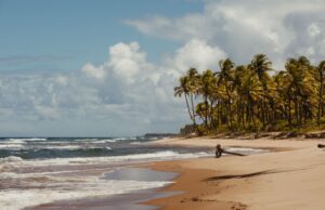 Playa tropical con palmeras y cielo parcialmente nublado, imagen ilustrativa del pronóstico para Punta Cana