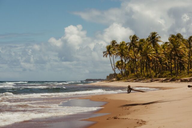 Cielo nublado sobre playa tropical Playa tropical con palmeras y cielo parcialmente nublado, imagen ilustrativa del pronóstico para Punta Cana