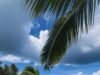 Playa de Punta Cana con palmeras y mar Caribe, imagen ilustrativa de la seguridad turística