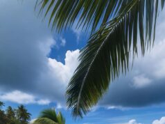 Playa de Punta Cana con palmeras y mar Caribe, imagen ilustrativa de la seguridad turística