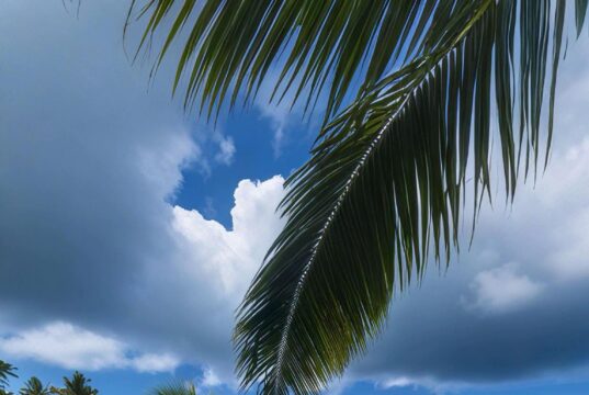 Playa de Punta Cana, destino hotelero de República Dominicana