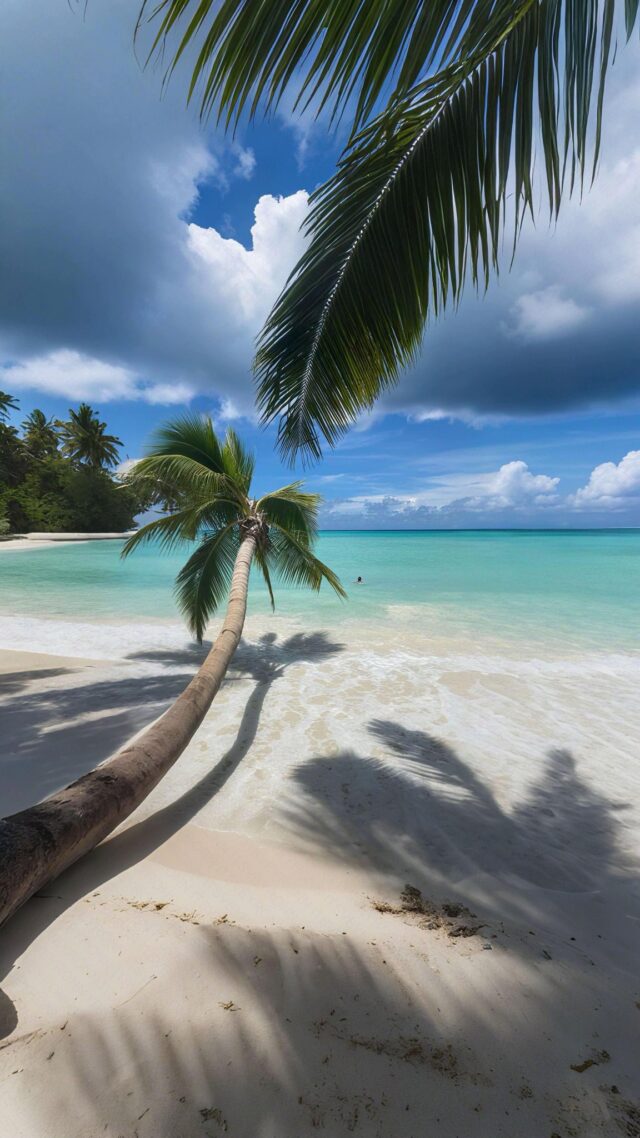 Playa de Punta Cana — imagen ilustrativa Playa de Punta Cana, destino hotelero de República Dominicana