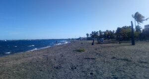 Costa y palmeras de Punta Salinas, Baní, en una fotografía de archivo de 2020.