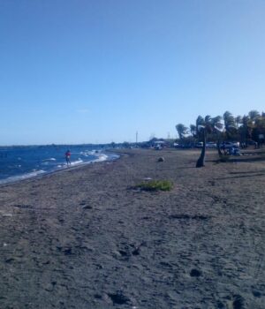 Costa y palmeras de Punta Salinas, Baní, en una fotografía de archivo de 2020.