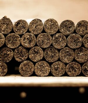 Puros artesanales fotografiados en La Romana en 2011; imagen de archivo alusiva al tabaco.
