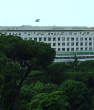 Sede de la FAO en Roma Edificio sede de la FAO en Roma, donde se anunció la Medalla Agrícola para Luis Abinader