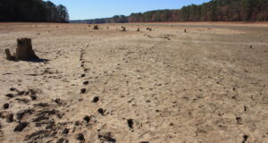Terreno seco y agrietado rodeado de árboles en Alabama; fotografía de archivo tomada por Bruce Dupree en 2016.