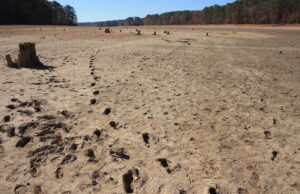 Terreno seco y agrietado rodeado de árboles en Alabama; fotografía de archivo tomada por Bruce Dupree en 2016.